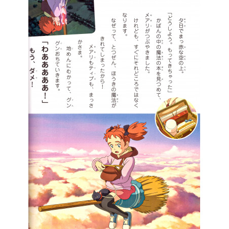 Mary et la Fleur de la Sorcière (Grand format)