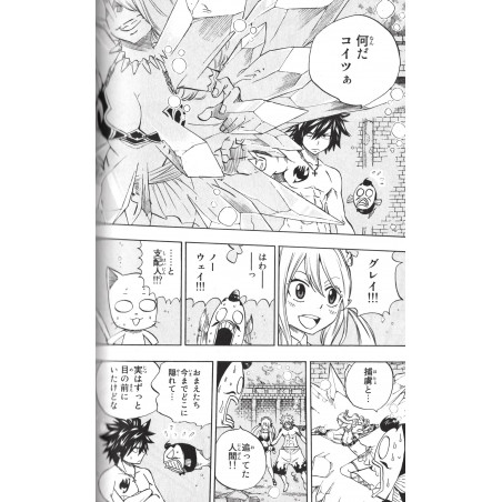 Fairy Tail : 100 Years Quest Tome 01