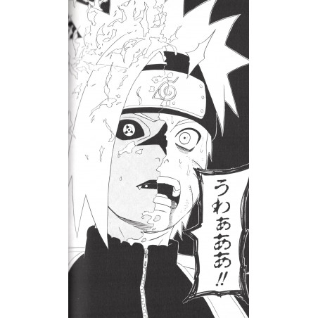 Naruto Tome 29