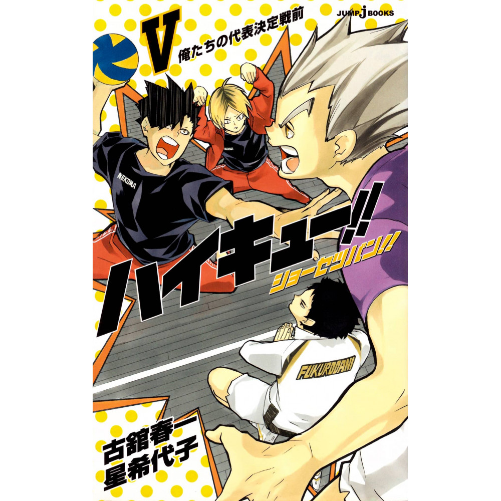 Couverture Light Novel d'occasion Haikyu!! Shousetsuban!! Tome 05 en version Japonaise