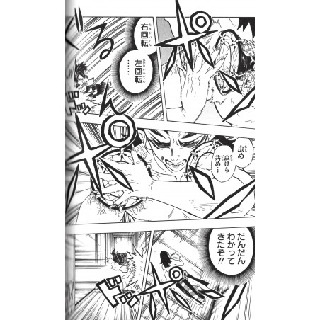 Demon Slayer : Kimetsu no Yaiba Tome 03