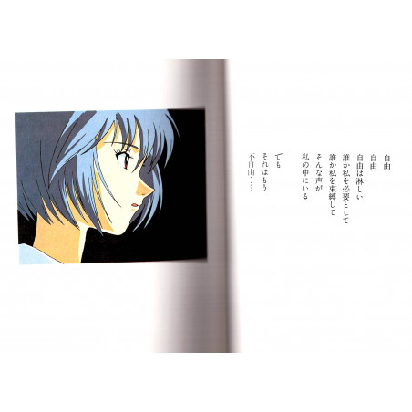 REI - Neon Genesis Evangelion Bunko Photo Collection