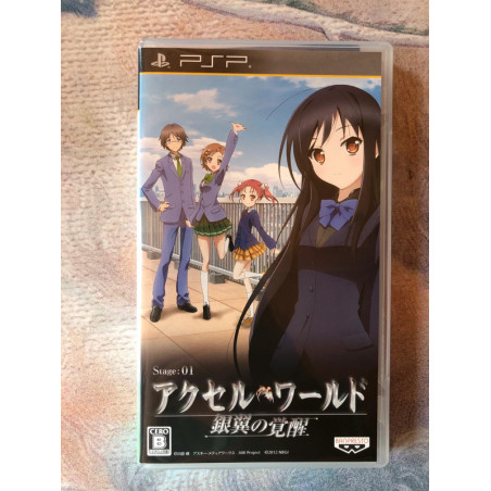 Accel World -Ginyoku no Kakusei