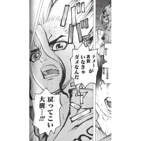 Dr. Stone Tome 02