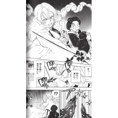 Demon Slayer : Kimetsu no Yaiba Side Stories