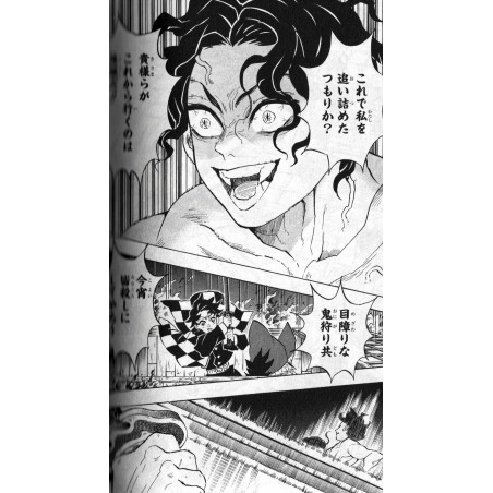Demon Slayer : Kimetsu no Yaiba Tome 16