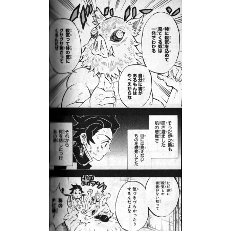 Demon Slayer : Kimetsu no Yaiba Tome 17