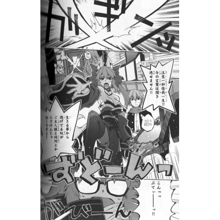 Fate / Extra CCC - Foxtail Tome 02