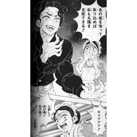 Demon Slayer : Kimetsu no Yaiba Tome 15