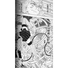 Demon Slayer : Kimetsu no Yaiba Tome 14