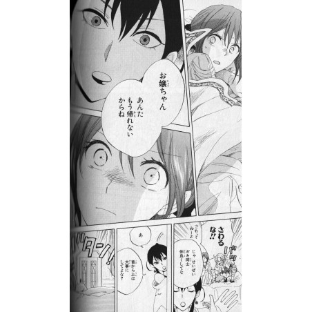 Shirayuki cheveux rouge Tome 06