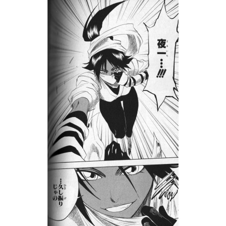 Bleach Tome 18
