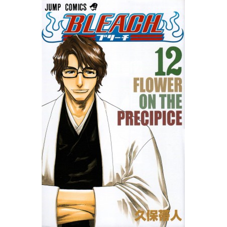 Couverture manga d'occasion Bleach Tome 12 en version Japonaise