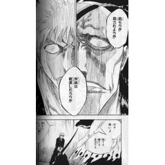 Bleach Tome 12