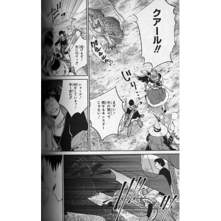 Final Fantasy : Lost Stranger Tome 01