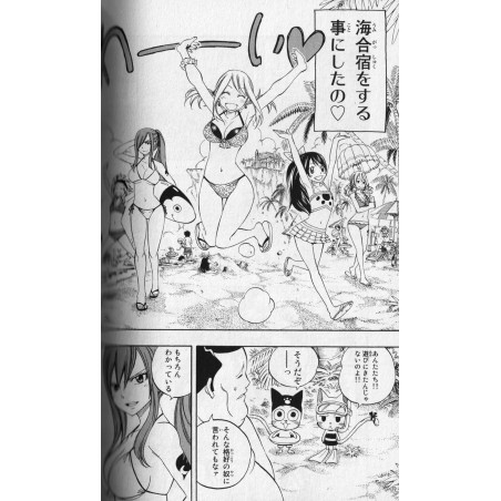 Fairy Tail Tome 31 (Édition Limitée)