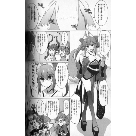 Fate / Grand Order Dengeki Anthology Tome 06