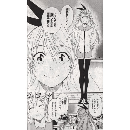 Nisekoi Tome 01