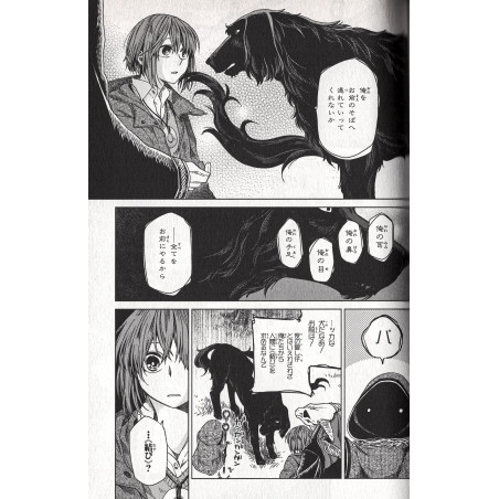 The Ancient Magus Bride Tome 03