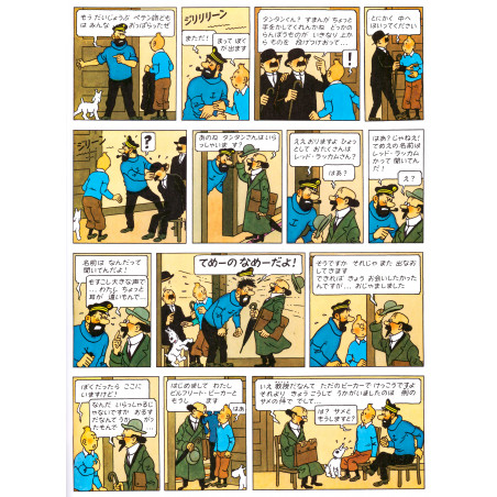 Tintin - Le Trésor de Rackham le Rouge (Couverture souple)