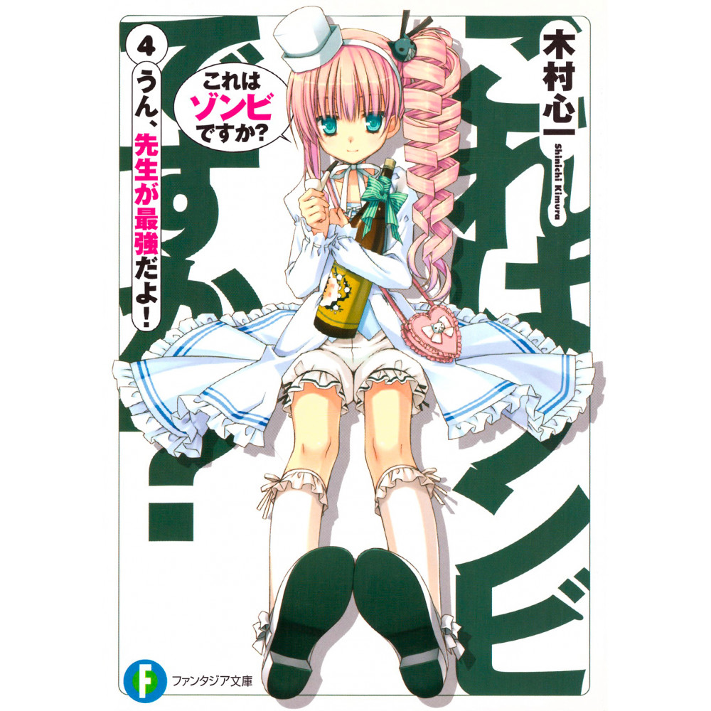 Couverture light novel d'occasion Est-ce un zombie ? Tome 04 en version Japonaise