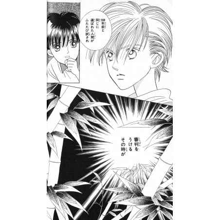 Princesse Kaguya Tome 13