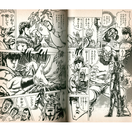 Hokuto no Ken Tome 06