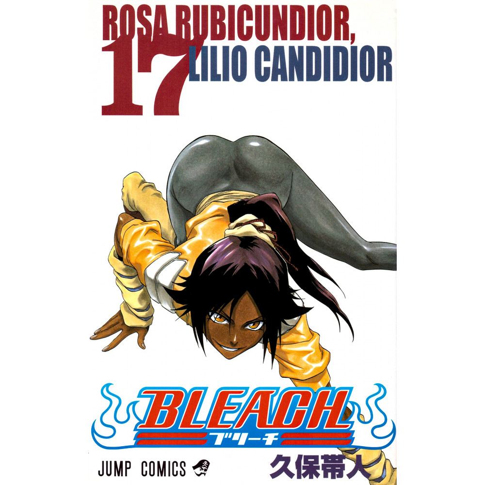 Couverture manga d'occasion Bleach Tome 17 en version Japonaise