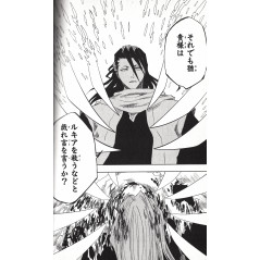 Page manga d'occasion Bleach Tome 17 en version Japonaise