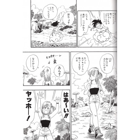 Dragon Ball Perfect Edition Tome 05