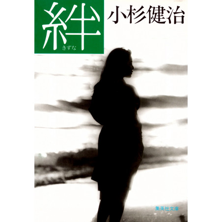 Couverture livre d'occasion Lien en version Japonaise