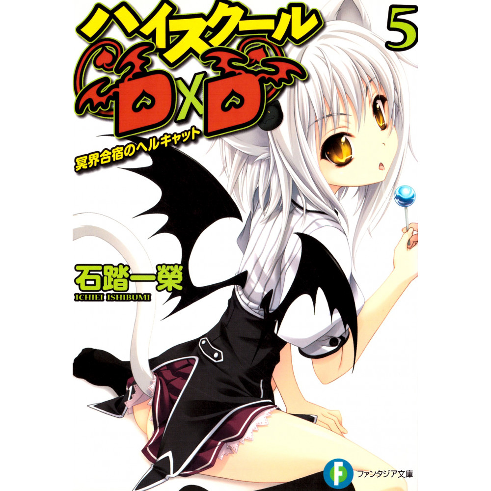 Couverture light novel d'occasion High School DxD Tome 05 en version Japonaise