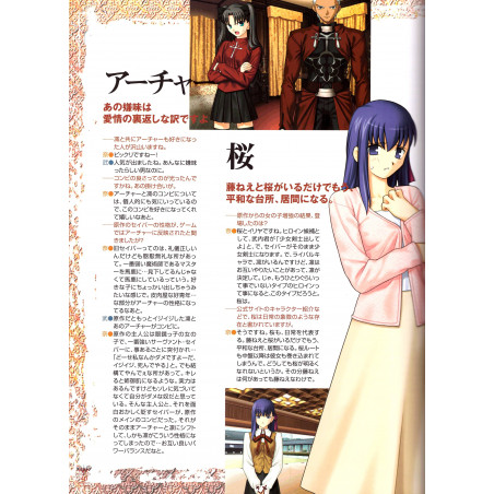 Fate / Stay Night Premium Fan Book